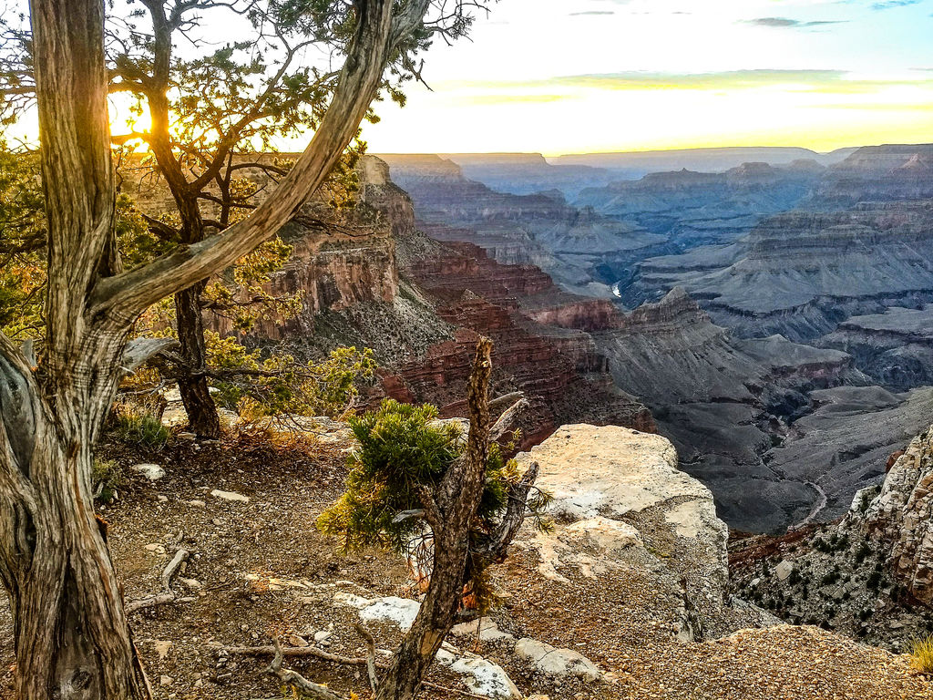 Delaware North at Squire Resort at Grand Canyon - CoolWorks.com