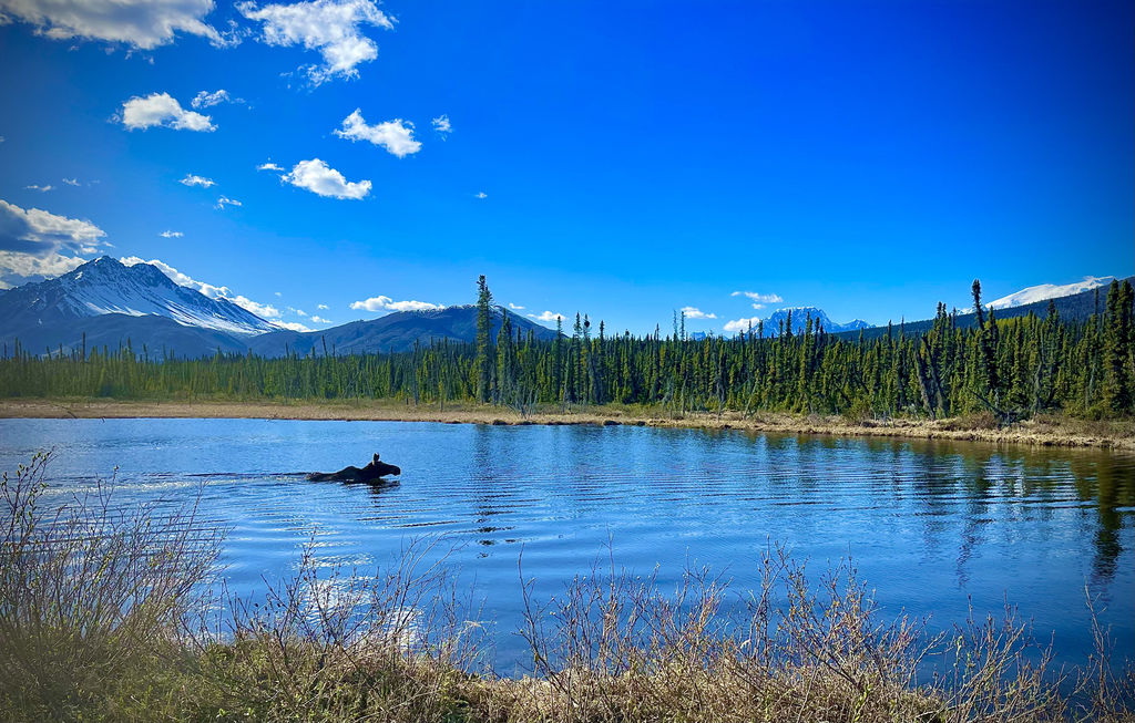 Wrangell Mountains Center Chef/Kitchen Coordinator