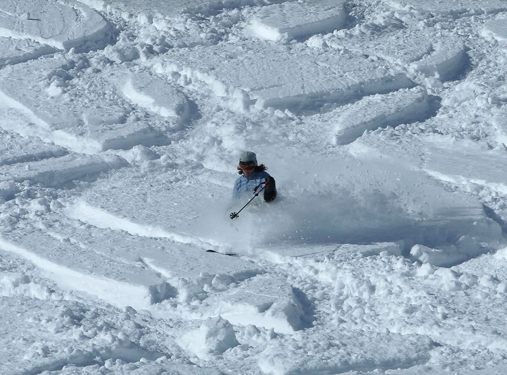 Alta Ski Area The Best Winter of your LIfe!